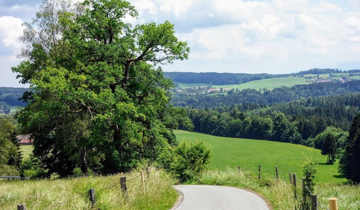 Taubenberg im Schongang auf die kleine Kanzel des Oberlandes Hurra