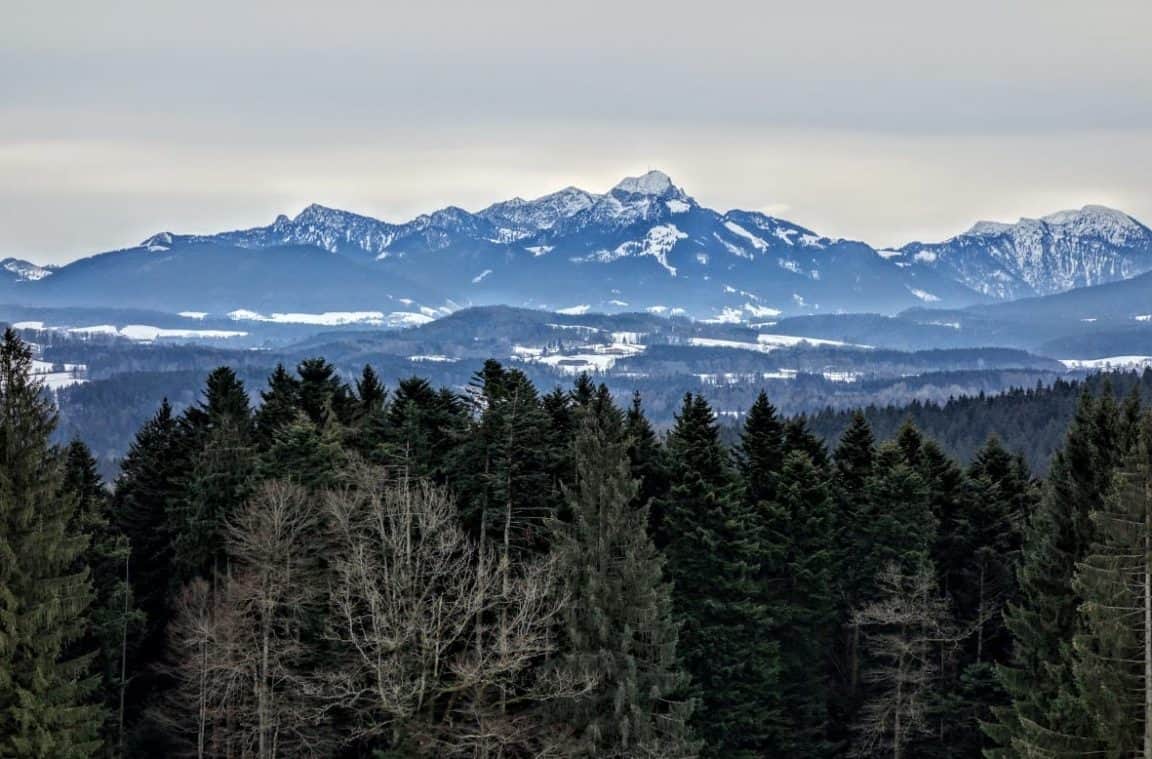 Taubenberg Wanderung Fentberg (16) Hurra, draussen!