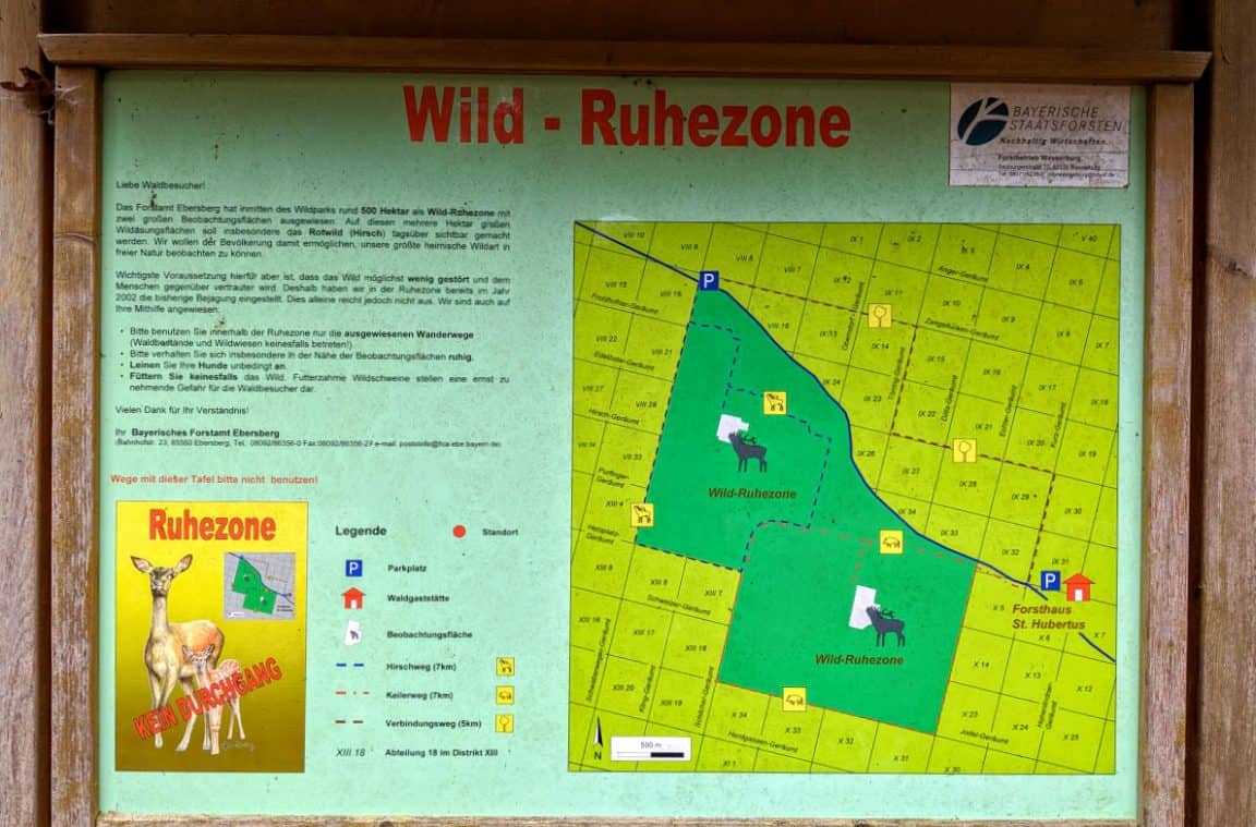 Ebersberger Forst Wanderung (17) – Hurra, draussen!