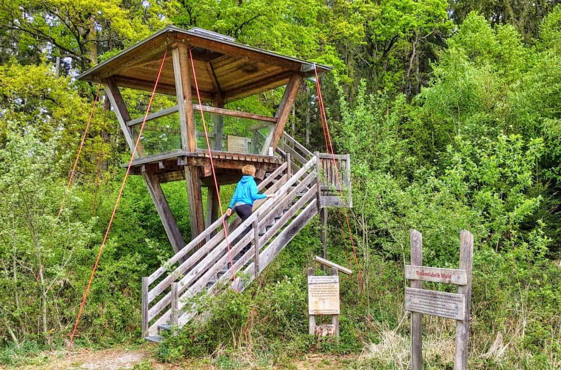 Wanderung Purfing Frotzhofen (9) Hurra, draussen!