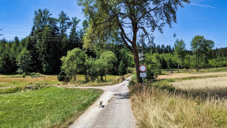 Typisch: Hopfenwanderung bei Au in der Hallertau